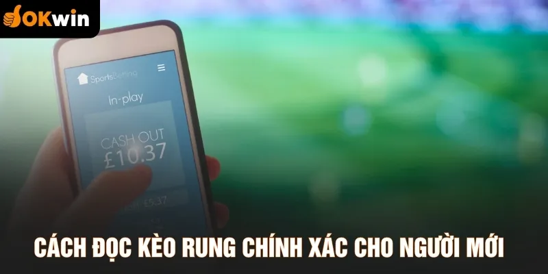 Cách đọc kèo rung chính xác cho người mới